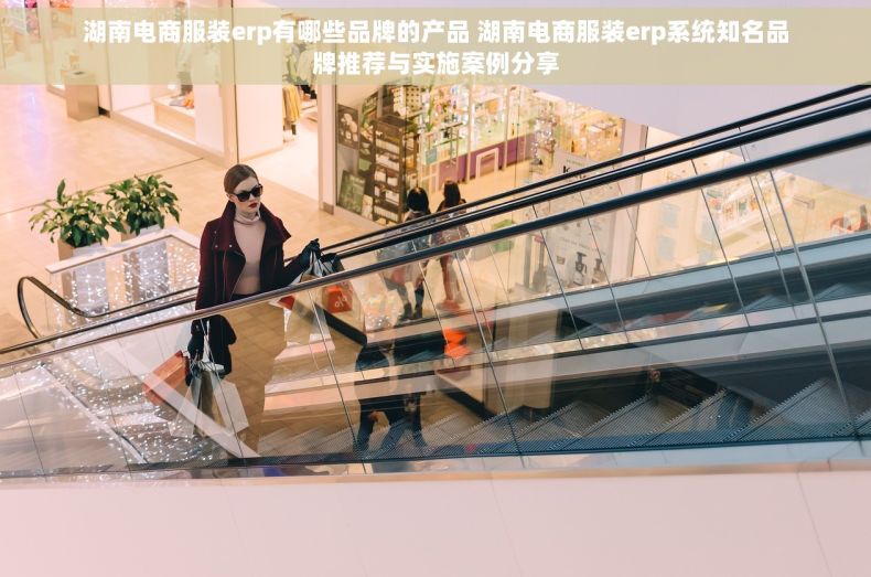湖南电商服装erp有哪些品牌的产品 湖南电商服装erp系统知名品牌推荐与实施案例分享
