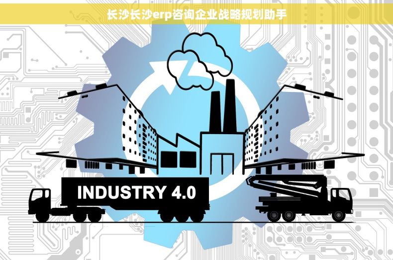 长沙长沙erp咨询企业战略规划助手