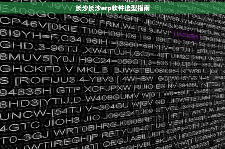 长沙长沙erp软件选型指南