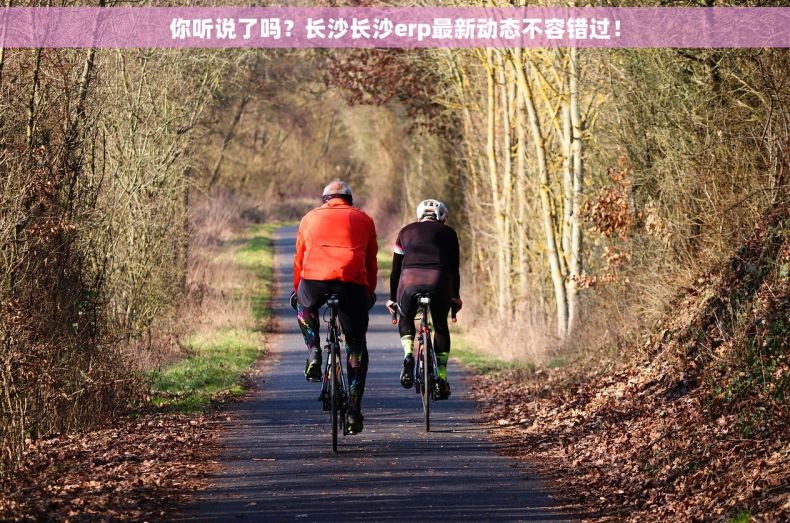 你听说了吗？长沙长沙erp最新动态不容错过！