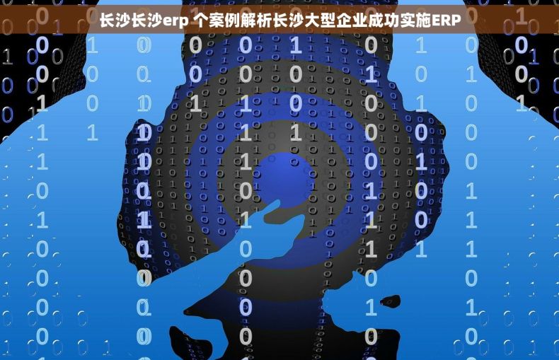 长沙长沙erp 个案例解析长沙大型企业成功实施ERP
