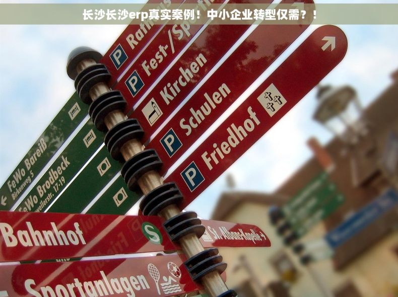长沙长沙erp真实案例！中小企业转型仅需？！