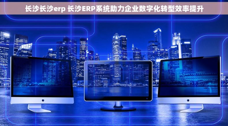 长沙长沙erp 长沙ERP系统助力企业数字化转型效率提升