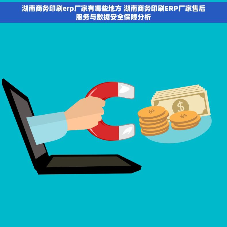湖南商务印刷erp厂家有哪些地方 湖南商务印刷ERP厂家售后服务与数据安全保障分析