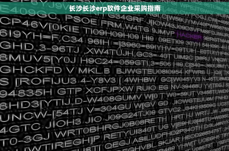 长沙长沙erp软件企业采购指南
