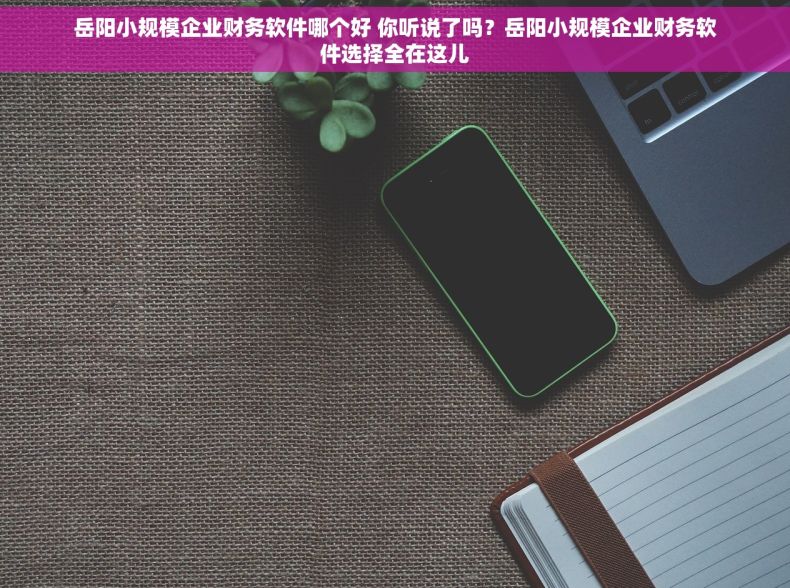 岳阳小规模企业财务软件哪个好 你听说了吗？岳阳小规模企业财务软件选择全在这儿