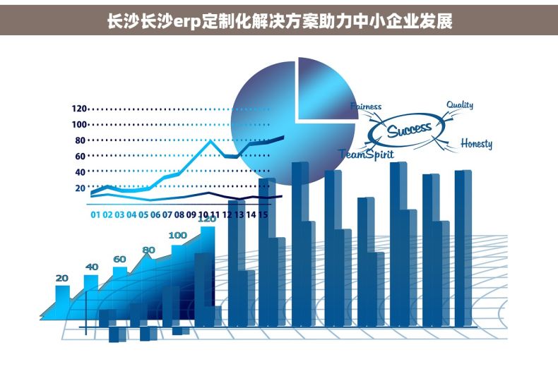 长沙长沙erp定制化解决方案助力中小企业发展