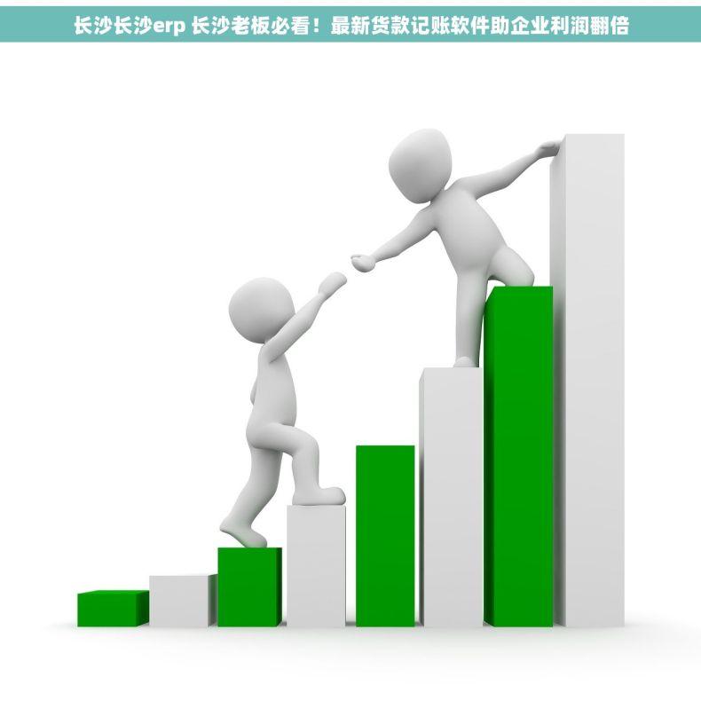 长沙长沙erp 长沙老板必看！最新货款记账软件助企业利润翻倍