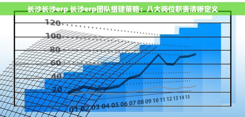 长沙长沙erp 长沙erp团队组建策略：八大岗位职责清晰定义