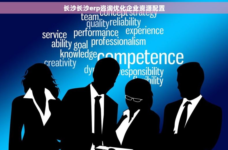 长沙长沙erp咨询优化企业资源配置