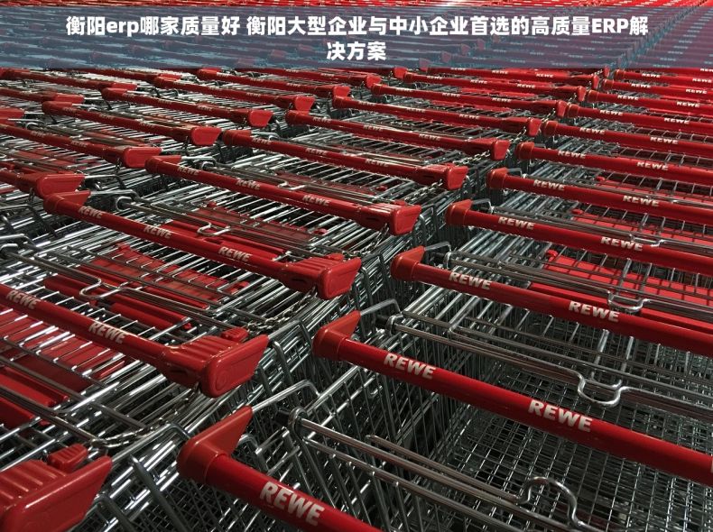 衡阳erp哪家质量好 衡阳大型企业与中小企业首选的高质量ERP解决方案