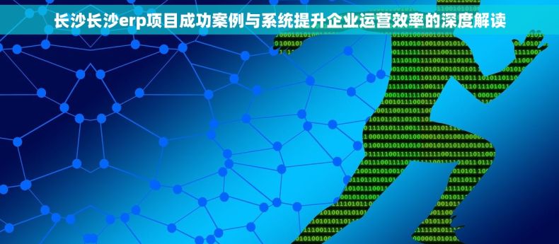 长沙长沙erp项目成功案例与系统提升企业运营效率的深度解读