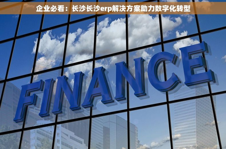 企业必看：长沙长沙erp解决方案助力数字化转型