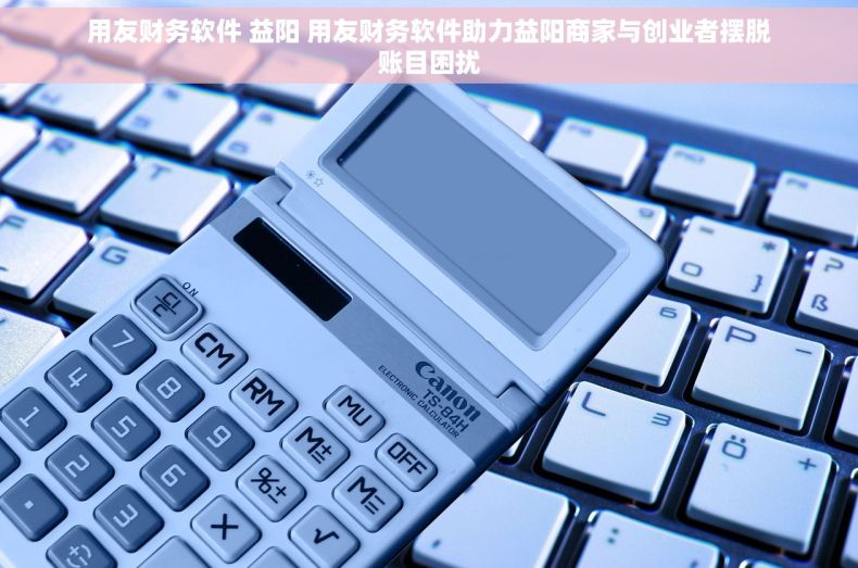 用友财务软件 益阳 用友财务软件助力益阳商家与创业者摆脱账目困扰