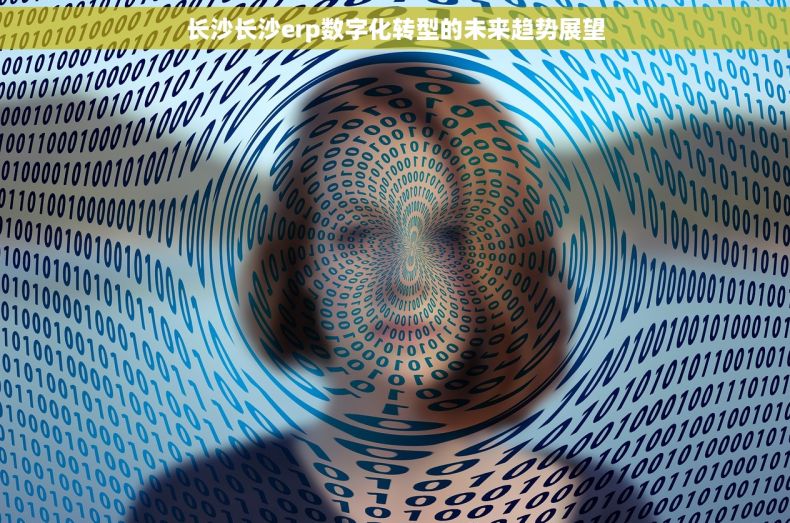 长沙长沙erp数字化转型的未来趋势展望