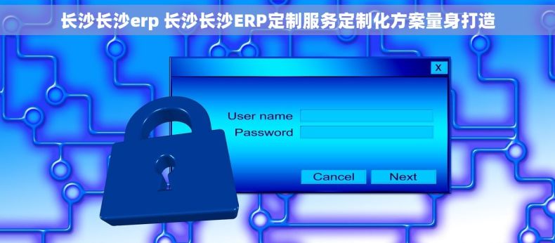 长沙长沙erp 长沙长沙ERP定制服务定制化方案量身打造