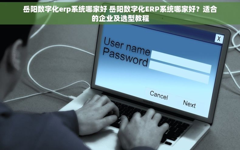 岳阳数字化erp系统哪家好 岳阳数字化ERP系统哪家好？适合的企业及选型教程