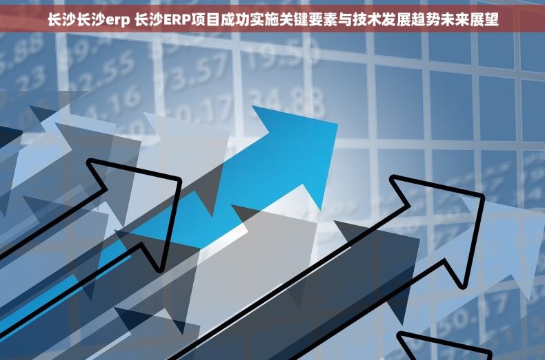 长沙长沙erp 长沙ERP项目成功实施关键要素与技术发展趋势未来展望