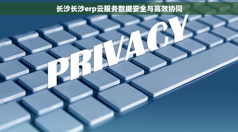 长沙长沙erp云服务数据安全与高效协同