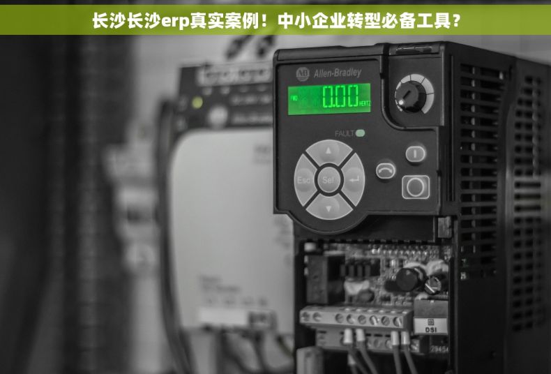 长沙长沙erp真实案例！中小企业转型必备工具？