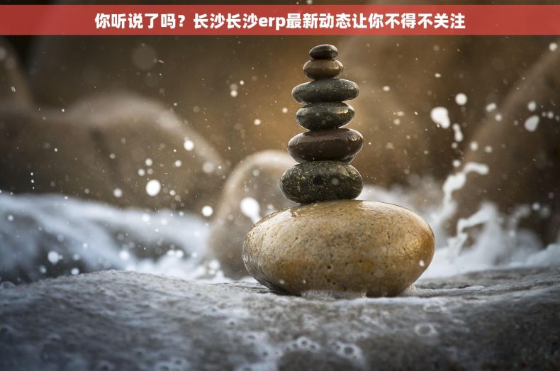 你听说了吗？长沙长沙erp最新动态让你不得不关注