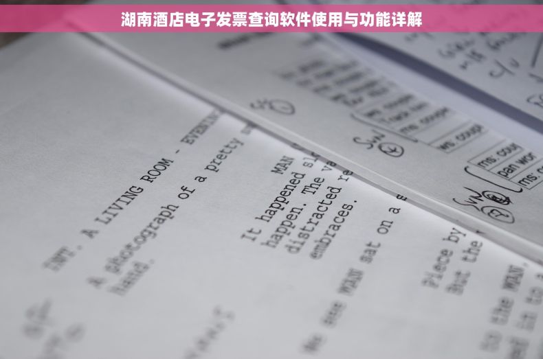 湖南酒店电子发票查询软件使用与功能详解