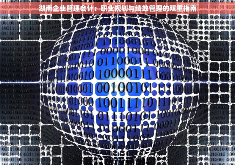 湖南企业管理会计：职业规划与绩效管理的双重指南