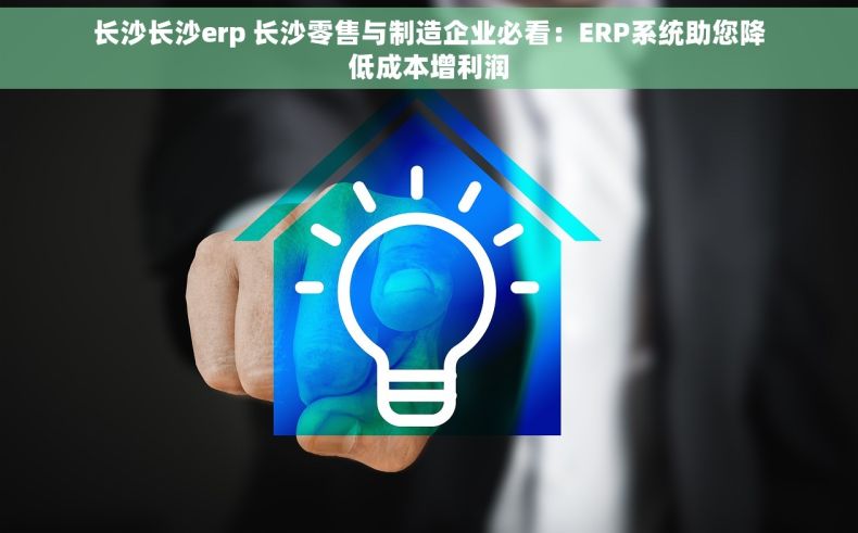 长沙长沙erp 长沙零售与制造企业必看：ERP系统助您降低成本增利润