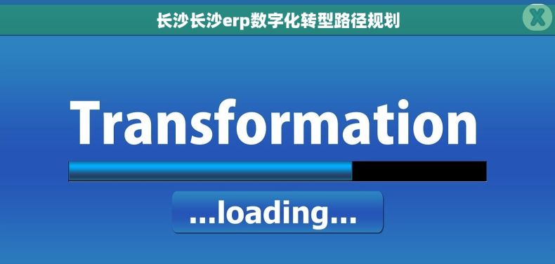 长沙长沙erp数字化转型路径规划