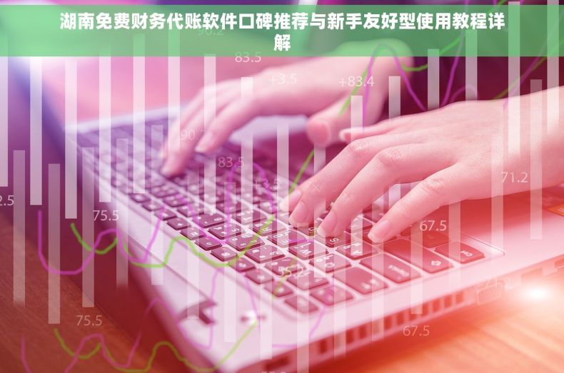 湖南免费财务代账软件口碑推荐与新手友好型使用教程详解
