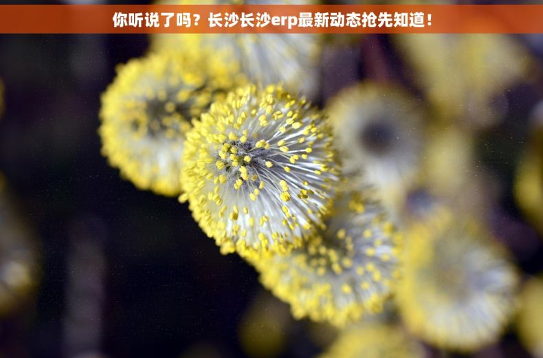 你听说了吗？长沙长沙erp最新动态抢先知道！