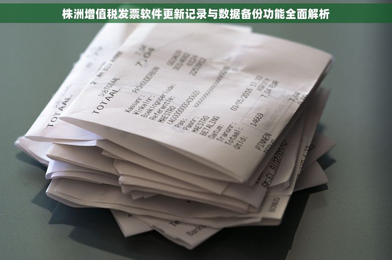 株洲增值税发票软件更新记录与数据备份功能全面解析