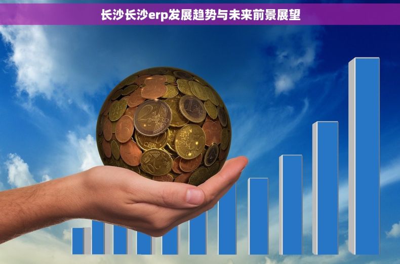 长沙长沙erp发展趋势与未来前景展望