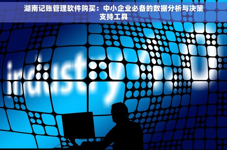 湖南记账管理软件购买：中小企业必备的数据分析与决策支持工具