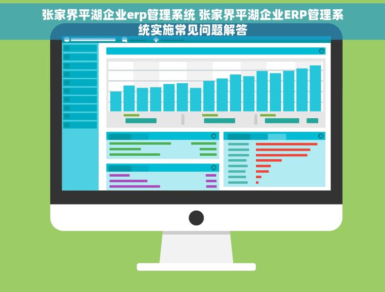 张家界平湖企业erp管理系统 张家界平湖企业ERP管理系统实施常见问题解答