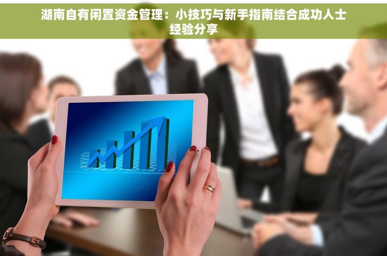 湖南自有闲置资金管理：小技巧与新手指南结合成功人士经验分享