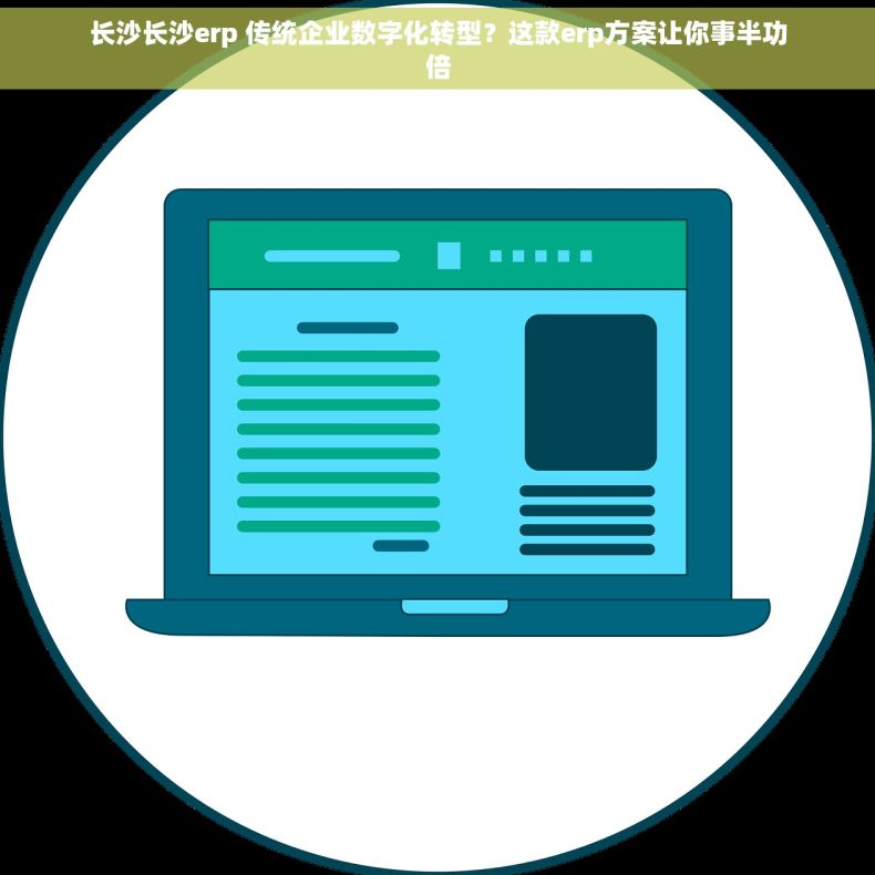 长沙长沙erp 传统企业数字化转型？这款erp方案让你事半功倍