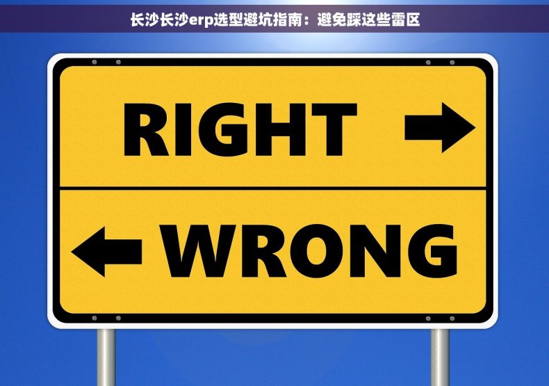 长沙长沙erp选型避坑指南：避免踩这些雷区