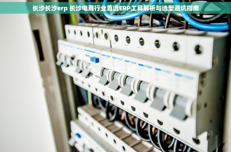长沙长沙erp 长沙电商行业首选ERP工具解析与选型避坑指南