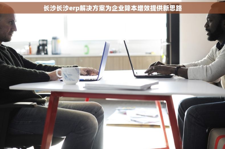 长沙长沙erp解决方案为企业降本增效提供新思路