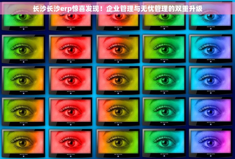 长沙长沙erp惊喜发现！企业管理与无忧管理的双重升级