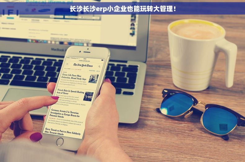 长沙长沙erp小企业也能玩转大管理！