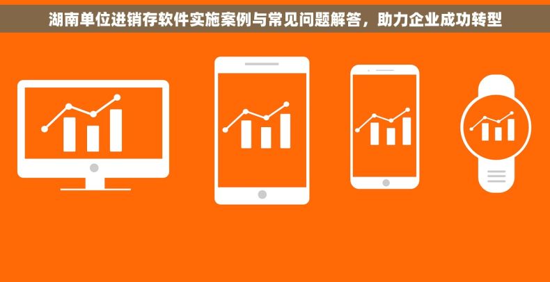 湖南单位进销存软件实施案例与常见问题解答，助力企业成功转型