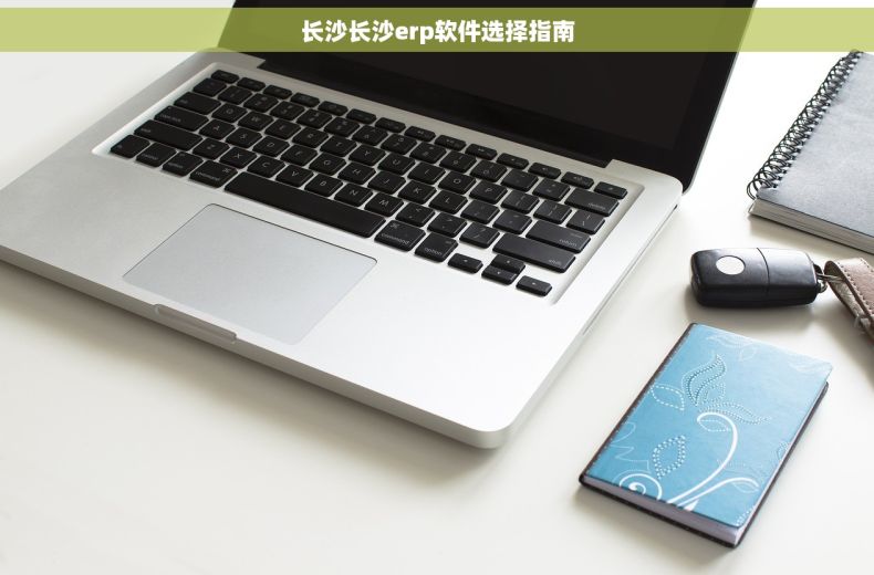 长沙长沙erp软件选择指南