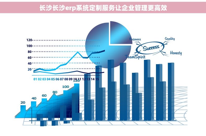 长沙长沙erp系统定制服务让企业管理更高效