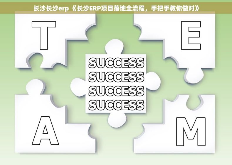 长沙长沙erp 《长沙ERP项目落地全流程，手把手教你做对》