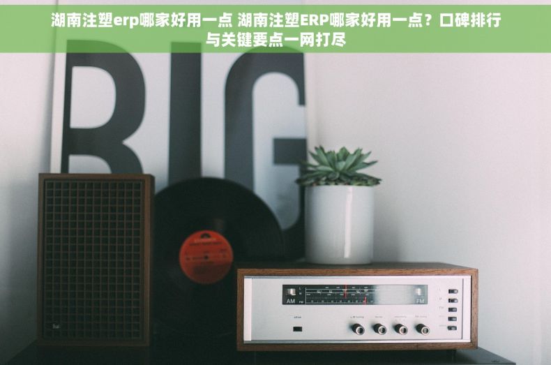 湖南注塑erp哪家好用一点 湖南注塑ERP哪家好用一点？口碑排行与关键要点一网打尽
