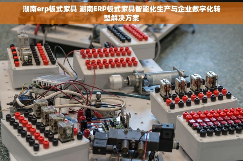 湖南erp板式家具 湖南ERP板式家具智能化生产与企业数字化转型解决方案