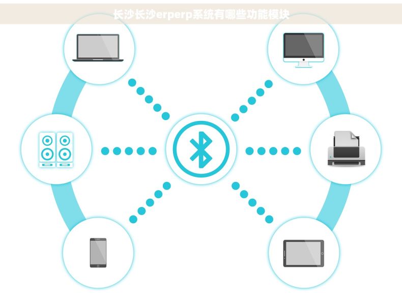 长沙长沙erperp系统有哪些功能模块