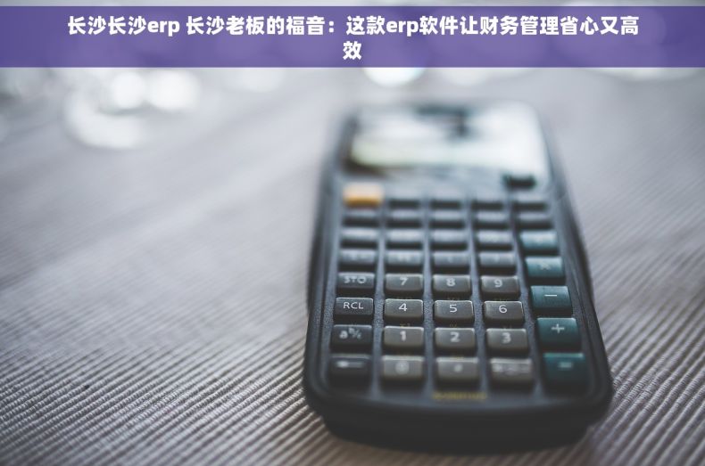 长沙长沙erp 长沙老板的福音：这款erp软件让财务管理省心又高效